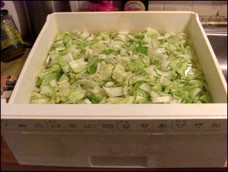 Making Kimchi in salt water