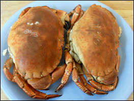 2 whole Crabs