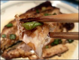 Grilled Mackerel Close Up